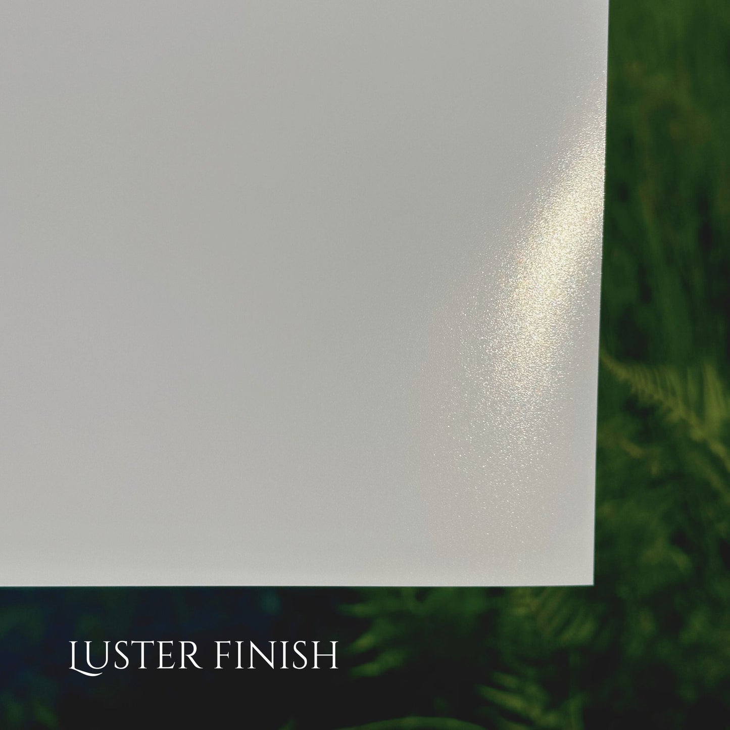 4x6" Archival Photo Print