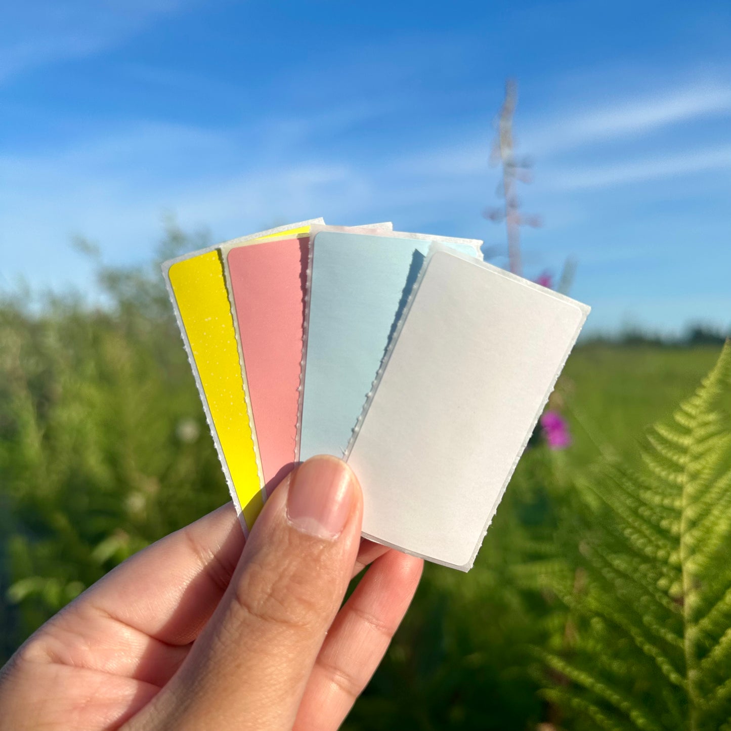 Etiquetas térmicas directas autoadhesivas rectangulares de 1,25x2,25"