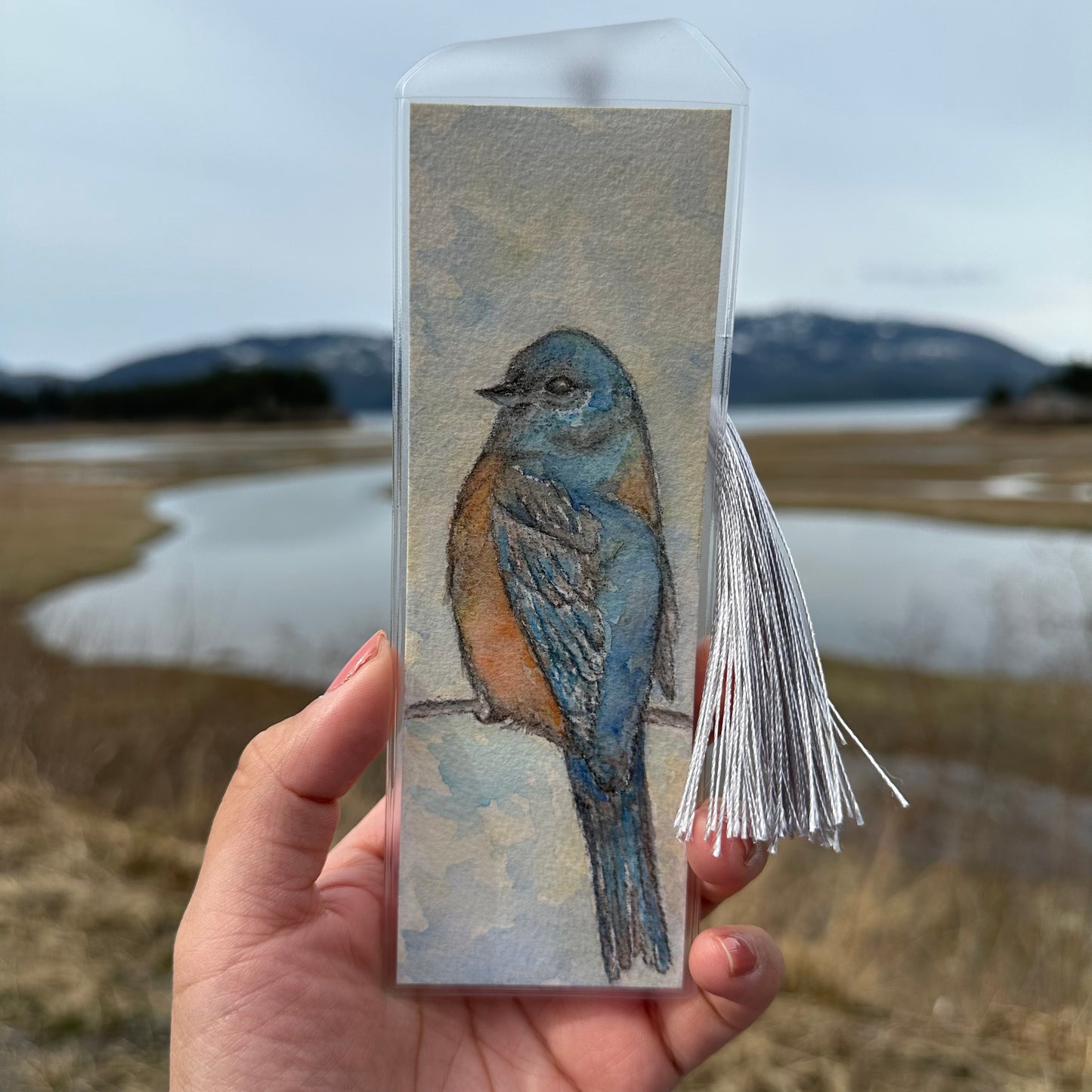Hand Painted Bookmarks of Birds