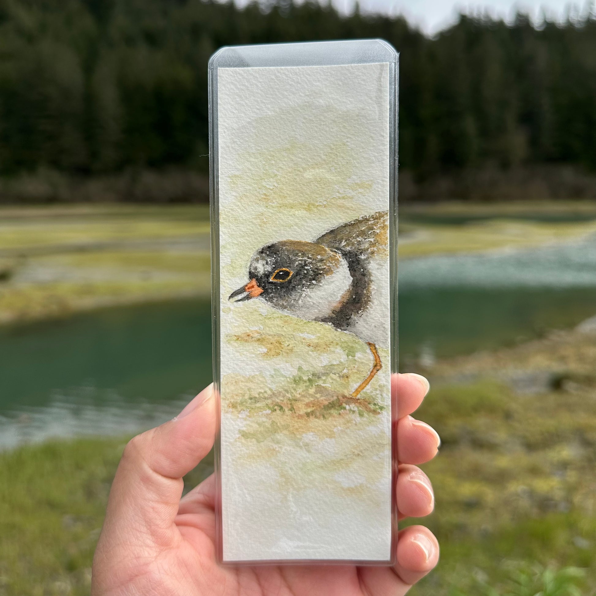 Hand-Painted Bird Bookmarks 
