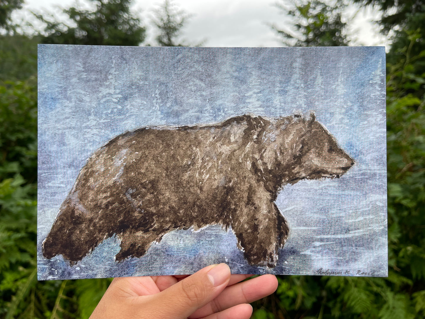 Matte Print - Grizzly Bear in Wonder - IT'S CORDOVA