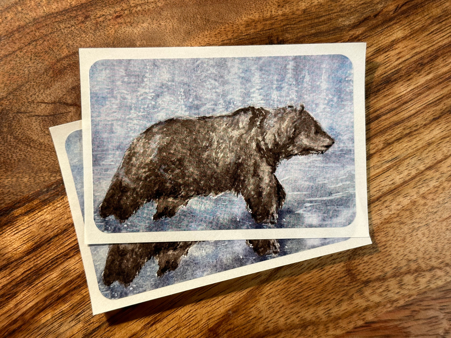 Durable Vinyl Sticker - Grizzly Bear in Wonder - IT'S CORDOVA