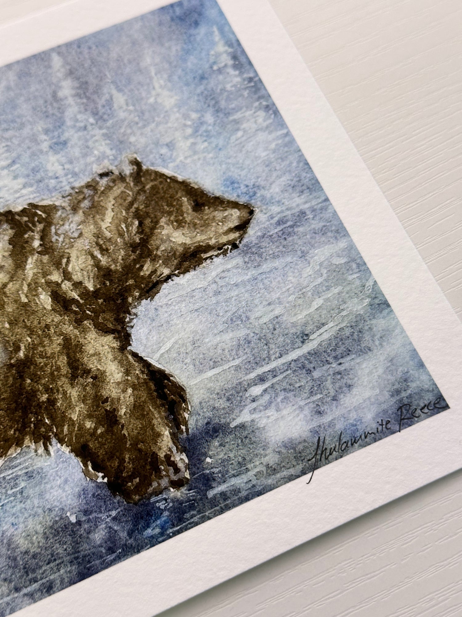 Giclee Print - Grizzly Bear in Wonder - IT'S CORDOVA