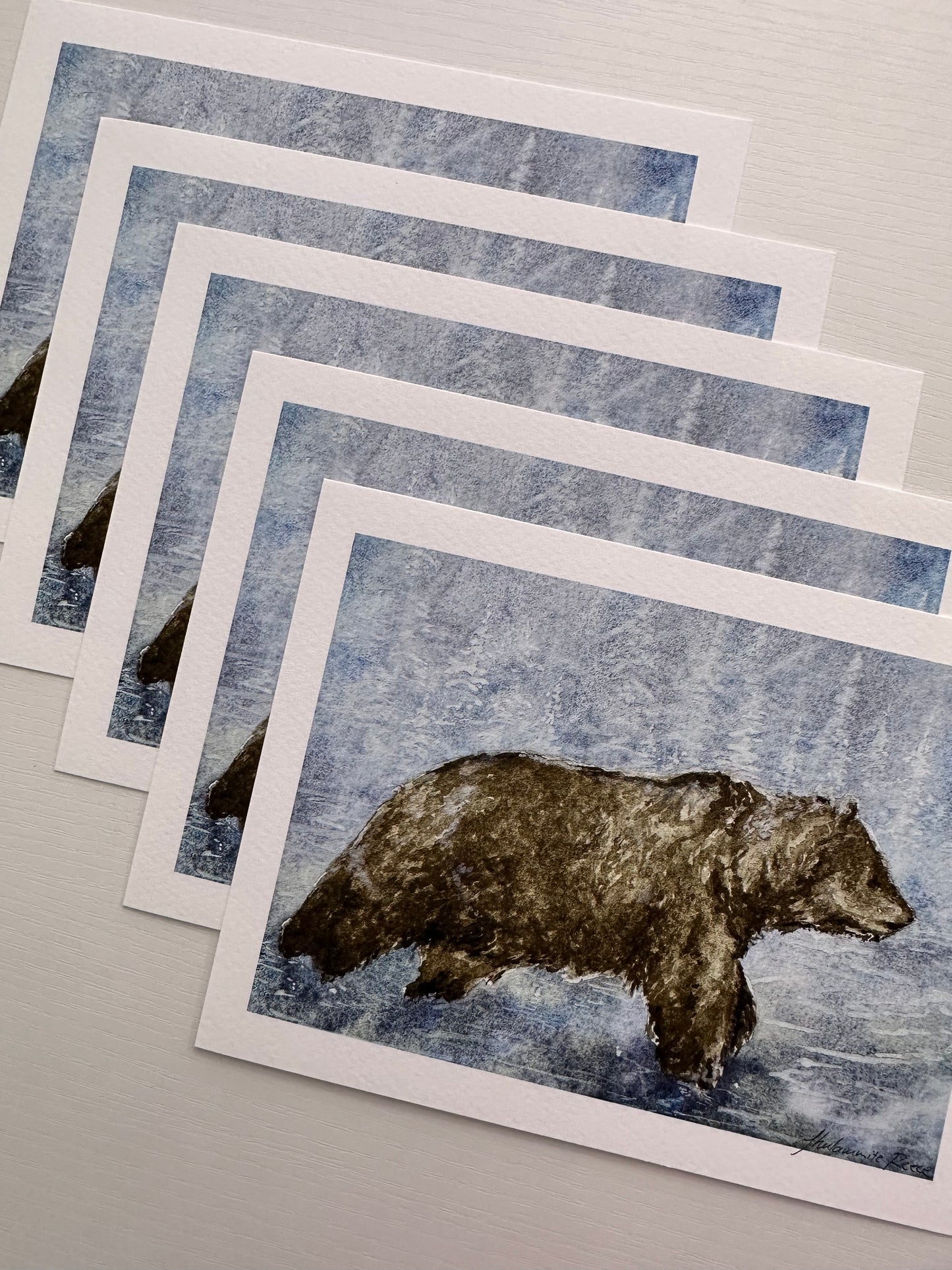 Giclee Print - Grizzly Bear in Wonder - IT'S CORDOVA