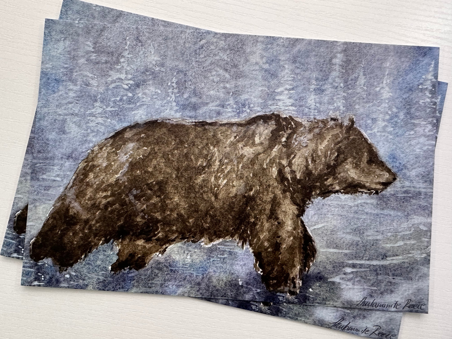 Matte Print - Grizzly Bear in Wonder - IT'S CORDOVA